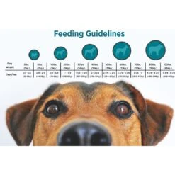 Blackwood Chicken Meal & Rice Recipe Everyday Diet Adult Dry Dog Food 8 Blackwood Chicken Meal & Rice Recipe Everyday Diet Adult Dry Dog Food -Pet Wellness 54539 PT4. AC SS1800 V1550528334