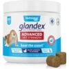 Vetnique Labs Glandex Advanced Vet Strength Anal Gland Fiber, Probiotic, Pumpkin & Digestive Boot The Scoot Dog Supplement