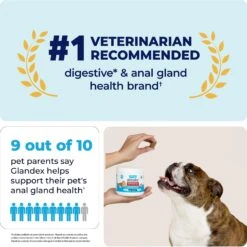 Vetnique Labs Glandex Advanced Vet Strength Anal Gland Fiber, Probiotic, Pumpkin & Digestive Boot The Scoot Dog Supplement 12 Vetnique Labs Glandex Advanced Vet Strength Anal Gland Fiber, Probiotic, Pumpkin & Digestive Boot The Scoot Dog Supplement -Pet Wellness 549950 PT4. AC SS1800 V1688071001