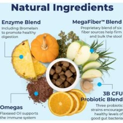 Vetnique Labs Glandex Advanced Vet Strength Anal Gland Fiber, Probiotic, Pumpkin & Digestive Boot The Scoot Dog Supplement 13 Vetnique Labs Glandex Advanced Vet Strength Anal Gland Fiber, Probiotic, Pumpkin & Digestive Boot The Scoot Dog Supplement -Pet Wellness 549950 PT5. AC SS1800 V1688071327