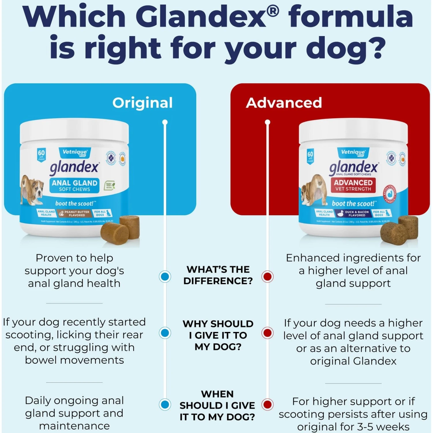 Vetnique Labs Glandex Advanced Vet Strength Anal Gland Fiber, Probiotic, Pumpkin & Digestive Boot The Scoot Dog Supplement 8 Vetnique Labs Glandex Advanced Vet Strength Anal Gland Fiber, Probiotic, Pumpkin & Digestive Boot The Scoot Dog Supplement - Image 8