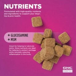 GNC Pets ESSENTIALS Hip & Joint Soft Chews Dog Supplement, 60 Count -Pet Wellness 550662 PT4. AC SS1800 V1658216871