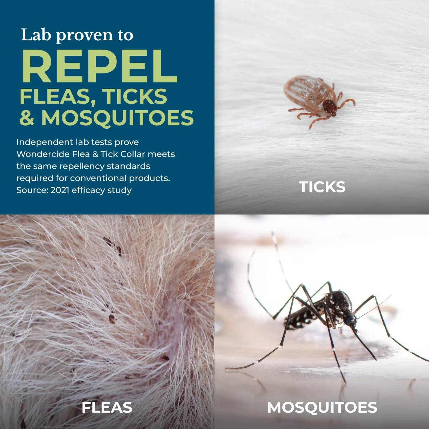 Wondercide Peppermint Flea & Tick Dog Collar 2 Wondercide Peppermint Flea & Tick Dog Collar - Image 2