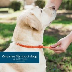 Wondercide Peppermint Flea & Tick Dog Collar 8 Wondercide Peppermint Flea & Tick Dog Collar -Pet Wellness 550726 PT3. AC SS1800 V1701364512