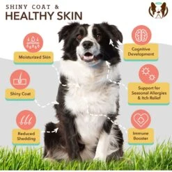Natural Dog Company Skin & Coat Omega-3 & Omega-6 Oil Dog Supplement, 16-oz Bottle -Pet Wellness 550878 PT2. AC SS1800 V1701881411