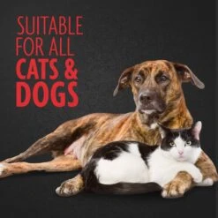 FURminator Nail Grinder For Dogs & Cats -Pet Wellness 55097 PT4. AC SS1800 V1701452268