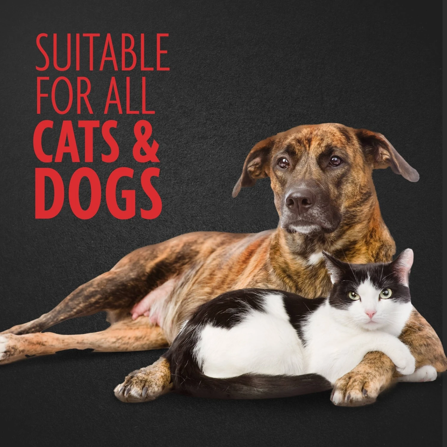 FURminator Nail Clippers For Dogs & Cats 4 FURminator Nail Clippers For Dogs & Cats - Image 4