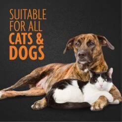 FURminator Firm Slicker Brush For Dogs -Pet Wellness 55198 PT3. AC SS1800 V1701453412