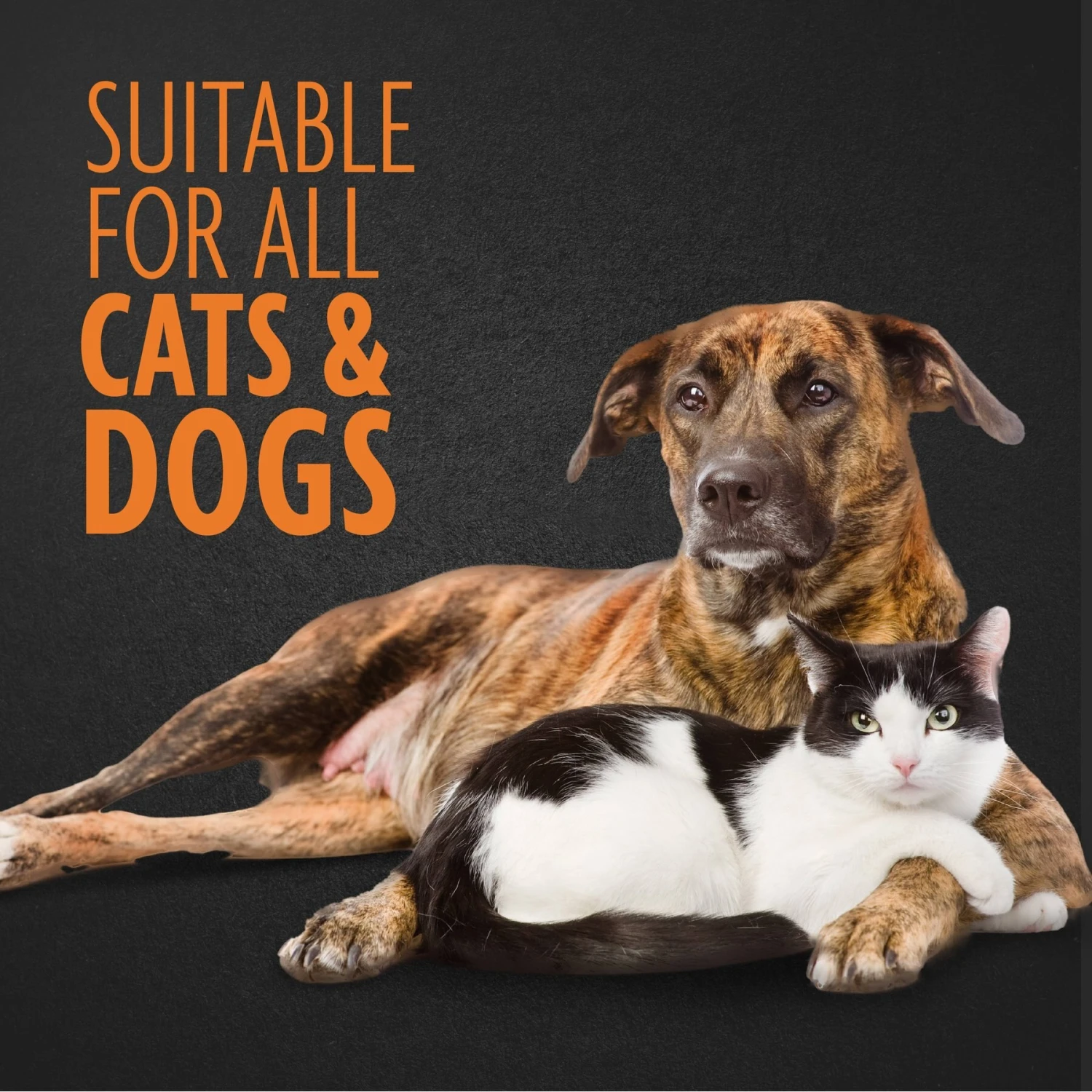 FURminator Curry Comb For Dogs 4 FURminator Curry Comb For Dogs - Image 4