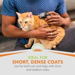 FURminator Curry Comb For Dogs 12 FURminator Curry Comb For Dogs -Pet Wellness 55203 PT4. AC SS1800 V1701452323