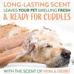 TropiClean Luxury 2 In 1 Papaya & Coconut Pet Shampoo & Conditioner 12 TropiClean Luxury 2 In 1 Papaya & Coconut Pet Shampoo & Conditioner -Pet Wellness 55610 PT5. AC SS1800 V1684417546