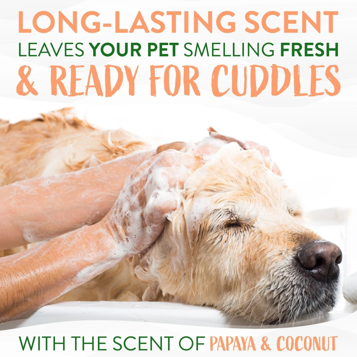 TropiClean Luxury 2 In 1 Papaya & Coconut Pet Shampoo & Conditioner 5 TropiClean Luxury 2 In 1 Papaya & Coconut Pet Shampoo & Conditioner - Image 5