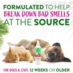 TropiClean Berry Breeze Deodorizing Dog & Cat Spray -Pet Wellness 55641 PT4. AC SS1800 V1684410066