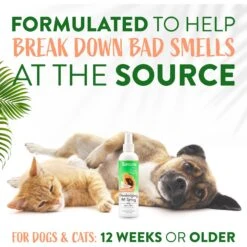 TropiClean Papaya Deodorizing Dog & Cat Spray 11 TropiClean Papaya Deodorizing Dog & Cat Spray -Pet Wellness 55643 PT4. AC SS1800 V1684415737
