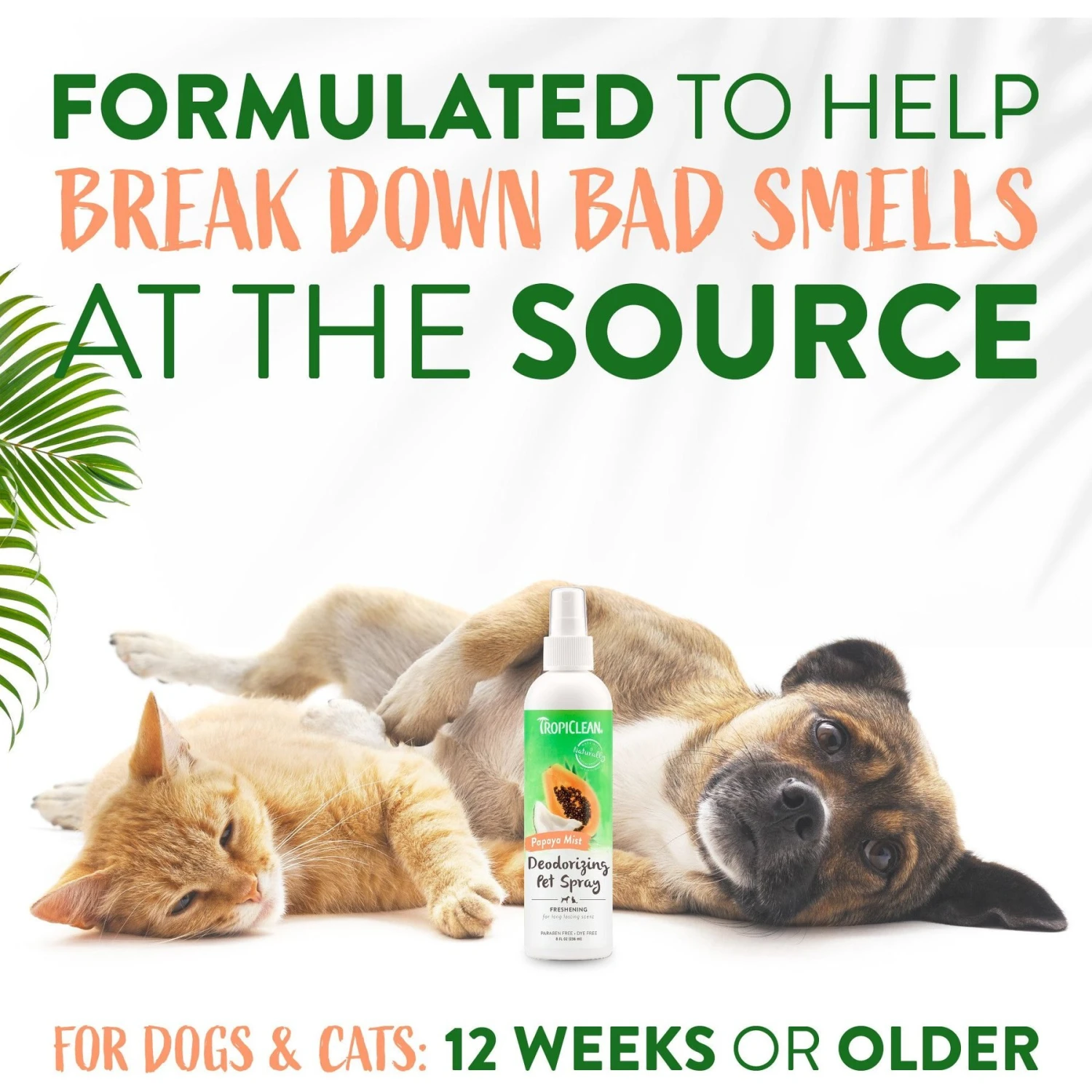 TropiClean Papaya Deodorizing Dog & Cat Spray 4 TropiClean Papaya Deodorizing Dog & Cat Spray - Image 4