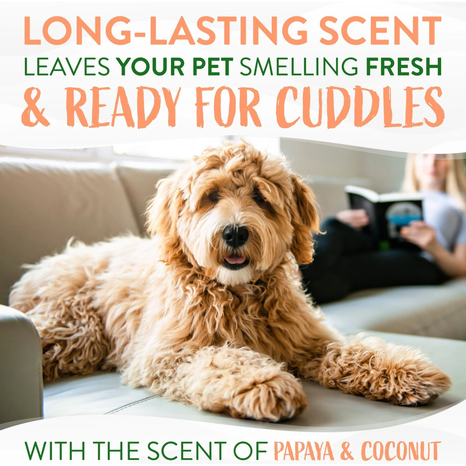 TropiClean Papaya Deodorizing Dog & Cat Spray 5 TropiClean Papaya Deodorizing Dog & Cat Spray - Image 5