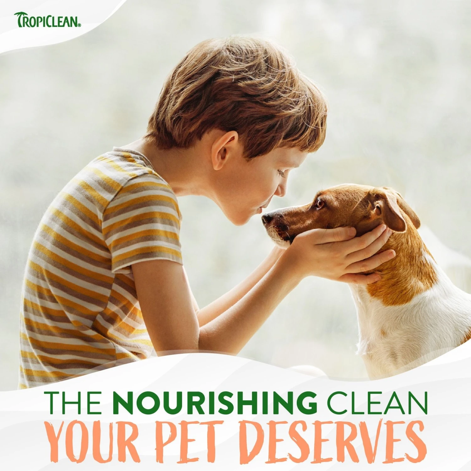 TropiClean Papaya Deodorizing Dog & Cat Spray 8 TropiClean Papaya Deodorizing Dog & Cat Spray - Image 8