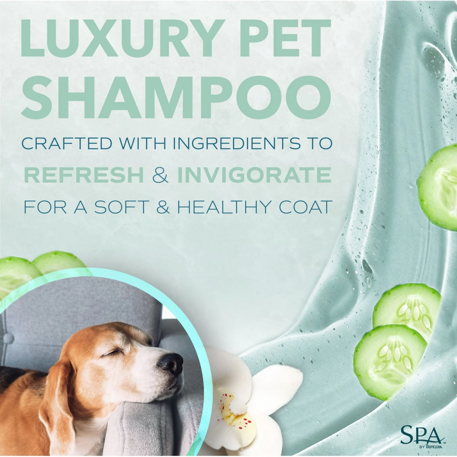 TropiClean Spa Lavish Fresh Shampoo For Dogs & Cats 3 TropiClean Spa Lavish Fresh Shampoo For Dogs & Cats - Image 3