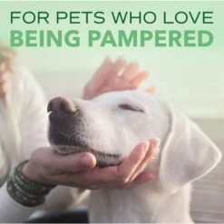 TropiClean Spa Comfort Shampoo For Dogs & Cats -Pet Wellness 55649 PT8. AC SS1800 V1684524615