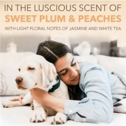 TropiClean Spa Renew Shampoo For Dogs & Cats -Pet Wellness 55650 PT4. AC SS1800 V1684609709