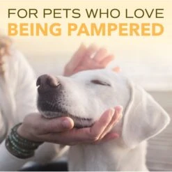 TropiClean Spa Nourish Conditioner For Dogs & Cats -Pet Wellness 55651 PT8. AC SS1800 V1684524798