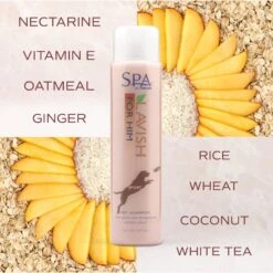 TropiClean Spa Sport For Him Dog Shampoo -Pet Wellness 55659 PT5. AC SS1800 V1684611873