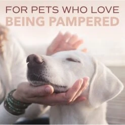 TropiClean Spa Sport For Him Dog Shampoo -Pet Wellness 55659 PT8. AC SS1800 V1684610839