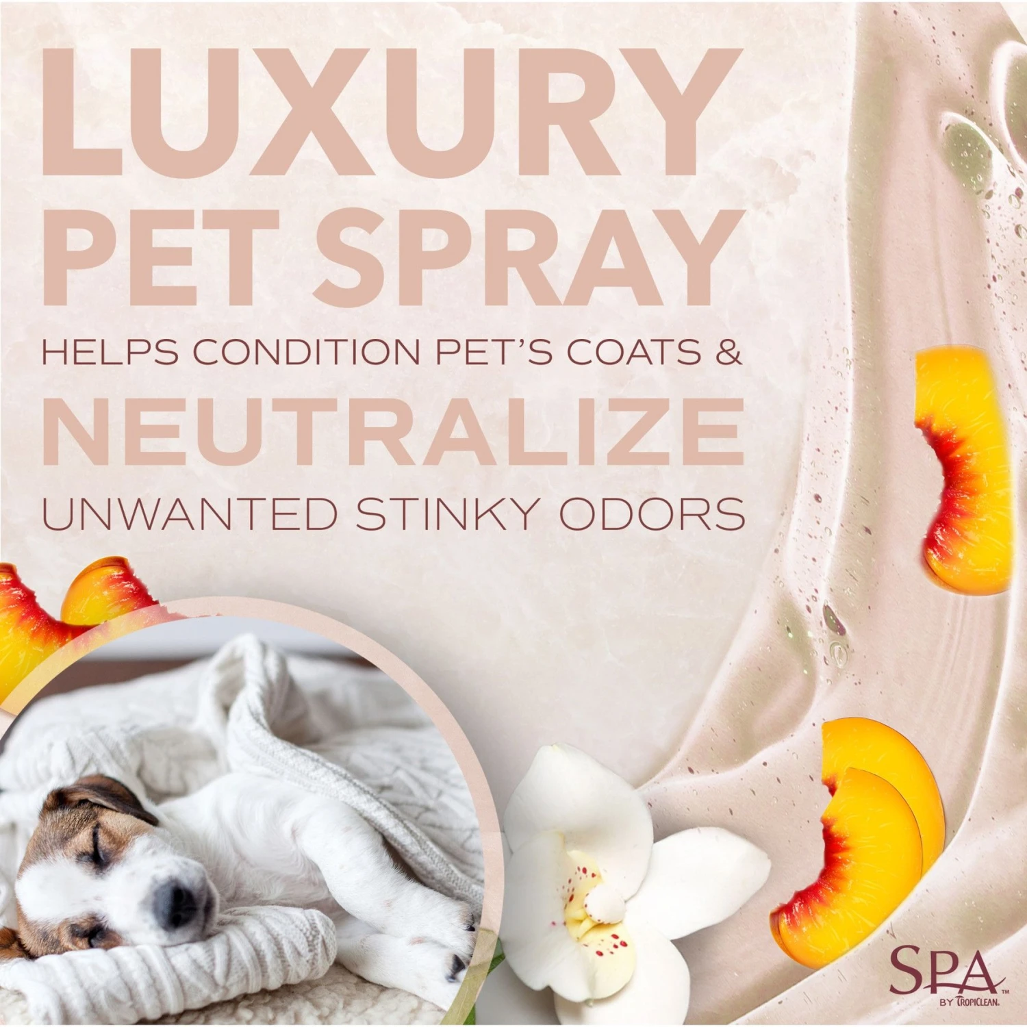 TropiClean Spa Sport For Him Cologne 3 TropiClean Spa Sport For Him Cologne - Image 3