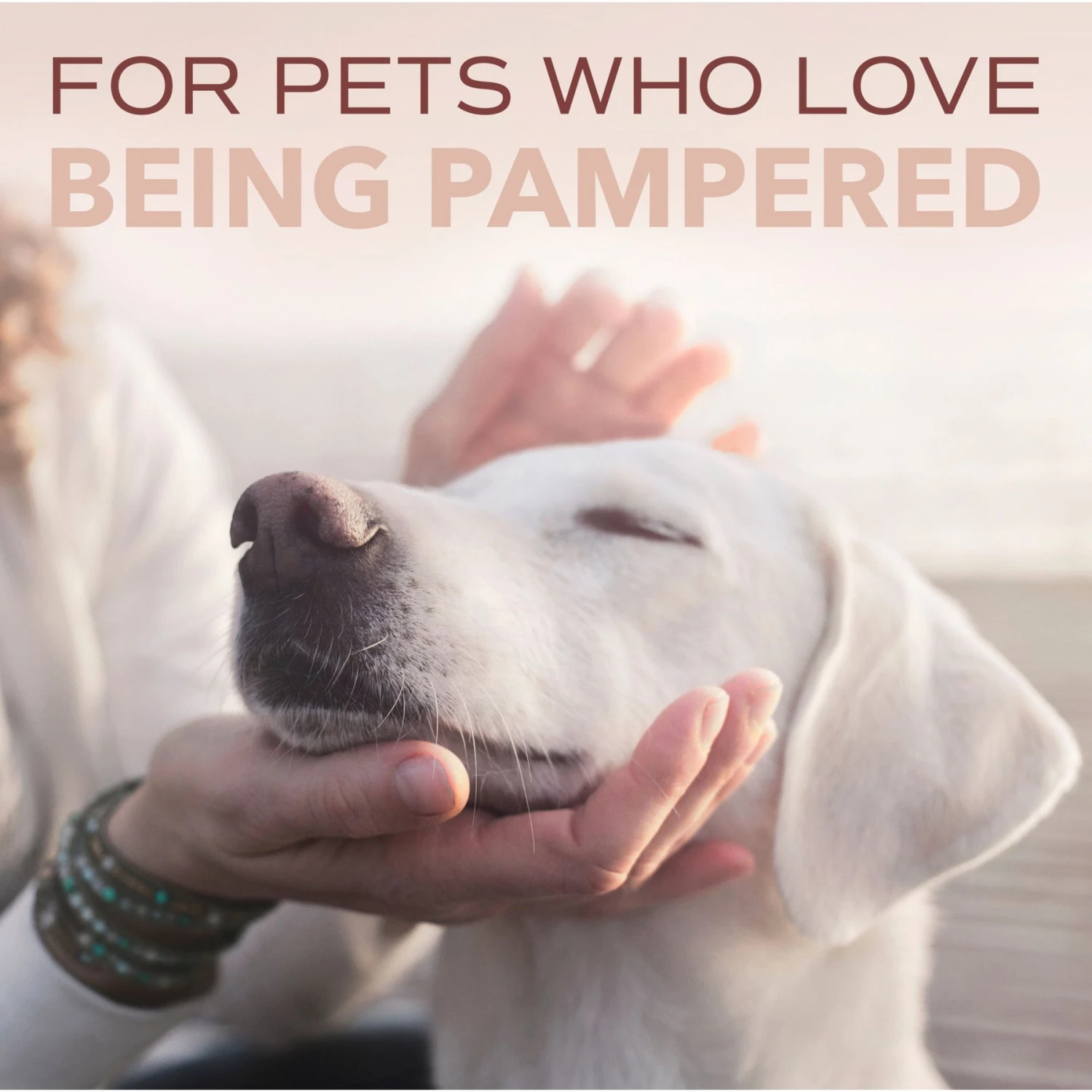 TropiClean Spa Sport For Him Cologne 8 TropiClean Spa Sport For Him Cologne - Image 8