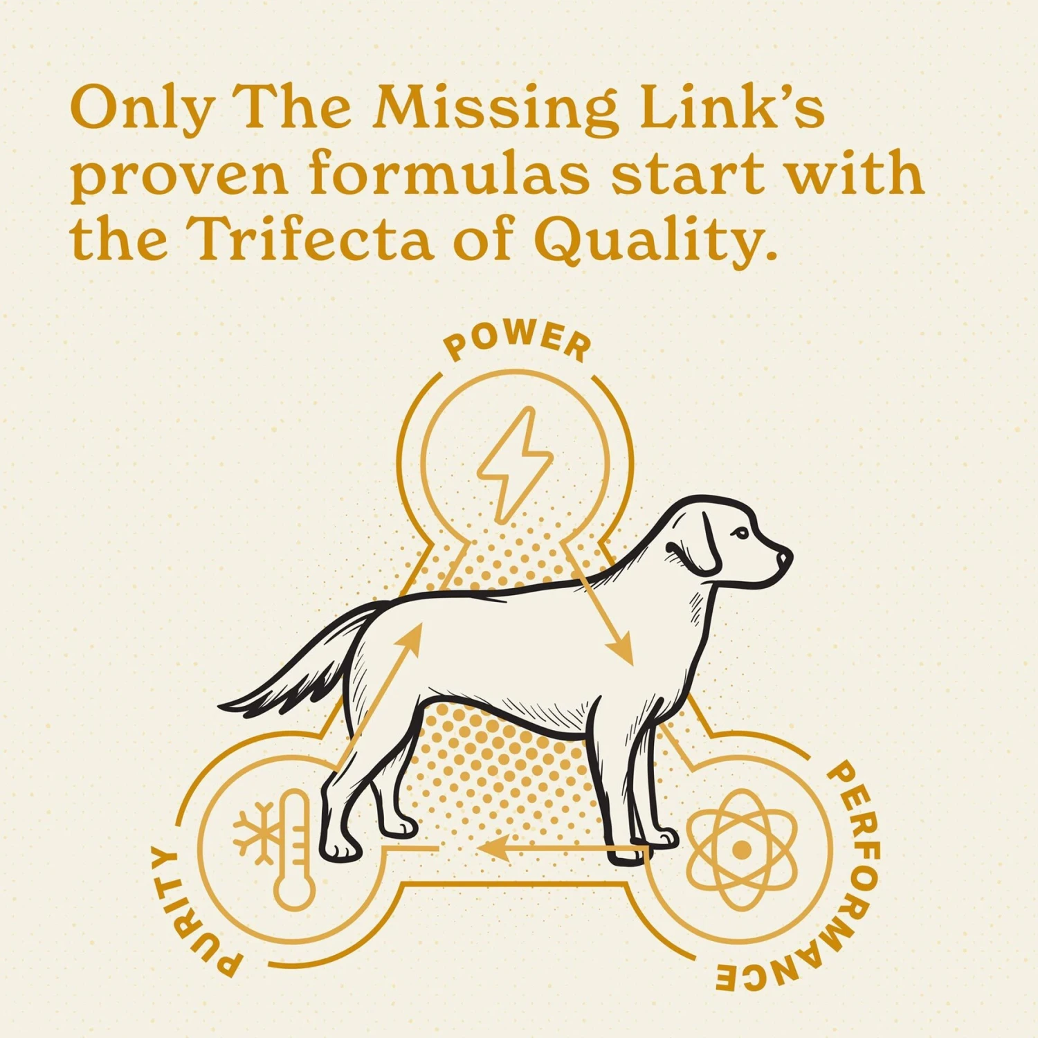 The Missing Link Skin & Coat Powder Dog Supplement 4 The Missing Link Skin & Coat Powder Dog Supplement - Image 4