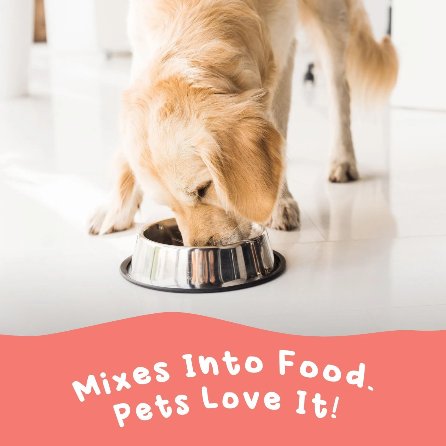 Paramount Pet Health Wild Alaskan Salmon Oil Dog & Cat Supplement 2 Paramount Pet Health Wild Alaskan Salmon Oil Dog & Cat Supplement - Image 2