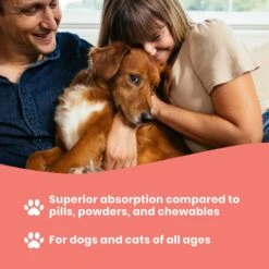 Paramount Pet Health Wild Alaskan Salmon Oil Dog & Cat Supplement 10 Paramount Pet Health Wild Alaskan Salmon Oil Dog & Cat Supplement -Pet Wellness 564590 PT4. AC SS1800 V1657659682