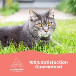 Paramount Pet Health Wild Alaskan Salmon Oil Dog & Cat Supplement 11 Paramount Pet Health Wild Alaskan Salmon Oil Dog & Cat Supplement -Pet Wellness 564590 PT5. AC SS1800 V1657659682