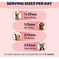 Ready Pet Go Joint & Hip Dog Supplement, 90 Count 12 Ready Pet Go Joint & Hip Dog Supplement, 90 Count -Pet Wellness 565374 PT4. AC SS1800 V1668653347