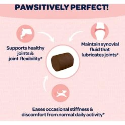 Ready Pet Go Joint & Hip Dog Supplement, 90 Count 13 Ready Pet Go Joint & Hip Dog Supplement, 90 Count -Pet Wellness 565374 PT5. AC SS1800 V1668632778