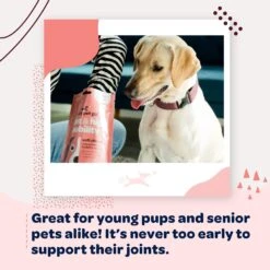 Ready Pet Go Joint & Hip Dog Supplement, 90 Count 14 Ready Pet Go Joint & Hip Dog Supplement, 90 Count -Pet Wellness 565374 PT6. AC SS1800 V1668631754