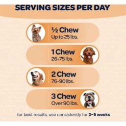 Ready Pet Go Skin & Coat Omega-3 Dog Supplement, 90 Count -Pet Wellness 565390 PT3. AC SS1800 V1671202190