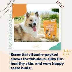 Ready Pet Go Skin & Coat Omega-3 Dog Supplement, 90 Count -Pet Wellness 565390 PT5. AC SS1800 V1671202199
