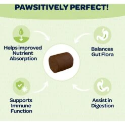 Ready Pet Go Good Gut Probiotic Dog Supplement, 90 Count 13 Ready Pet Go Good Gut Probiotic Dog Supplement, 90 Count -Pet Wellness 565406 PT5. AC SS1800 V1668900091