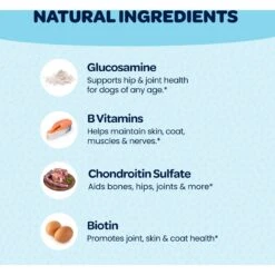 Ready Pet Go Healthy 12-In-One Dog Supplement, 90 Count 11 Ready Pet Go Healthy 12-In-One Dog Supplement, 90 Count -Pet Wellness 565422 PT3. AC SS1800 V1668900038