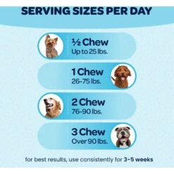 Ready Pet Go Healthy 12-In-One Dog Supplement, 90 Count 12 Ready Pet Go Healthy 12-In-One Dog Supplement, 90 Count -Pet Wellness 565422 PT4. AC SS1800 V1668900038