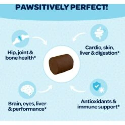 Ready Pet Go Healthy 12-In-One Dog Supplement, 90 Count 13 Ready Pet Go Healthy 12-In-One Dog Supplement, 90 Count -Pet Wellness 565422 PT5. AC SS1800 V1668900089