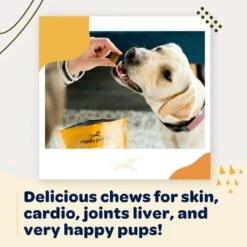 Ready Pet Go Turmeric & Collagen Dog Supplement, 90 Count 14 Ready Pet Go Turmeric & Collagen Dog Supplement, 90 Count -Pet Wellness 565438 PT6. AC SS1800 V1668900036