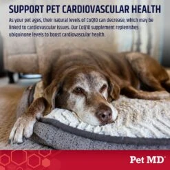 Pet MD CoQ10-30MG 100% Pure Ubiquinone Cat & Dog Supplement, 30 Count -Pet Wellness 565726 PT2. AC SS1800 V1658218592