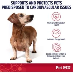 Pet MD CoQ10-30MG 100% Pure Ubiquinone Cat & Dog Supplement, 30 Count -Pet Wellness 565726 PT3. AC SS1800 V1657659867