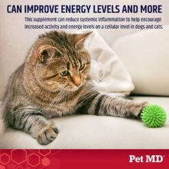 Pet MD CoQ10-30MG 100% Pure Ubiquinone Cat & Dog Supplement, 30 Count -Pet Wellness 565726 PT4. AC SS1800 V1658228391