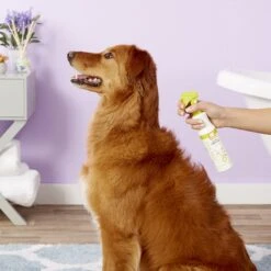 Nootie Cucumber Melon Daily Spritz For Dogs -Pet Wellness 56737 PT3. AC SS1800 V1542825252