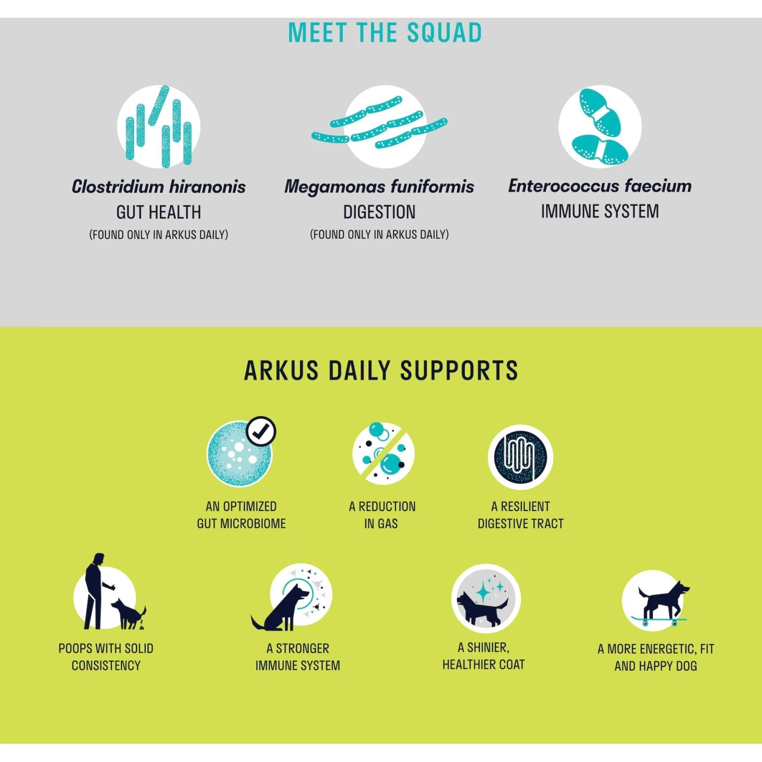 Arkus Daily X-Large All-Natural Probiotic Digestive Dog Supplement 5 Arkus Daily X-Large All-Natural Probiotic Digestive Dog Supplement - Image 5