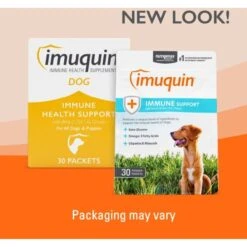 Nutramax Imuquin Immune Support Powder Immune Supplement For Dogs, 30 Count -Pet Wellness 572574 PT4. AC SS1800 V1668636861