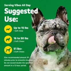 Vibeful Calming Melatonin Turkey Flavored Soft Chews Calming Supplement For Dogs 13 Vibeful Calming Melatonin Turkey Flavored Soft Chews Calming Supplement For Dogs -Pet Wellness 573966 PT5. AC SS1800 V1667228120